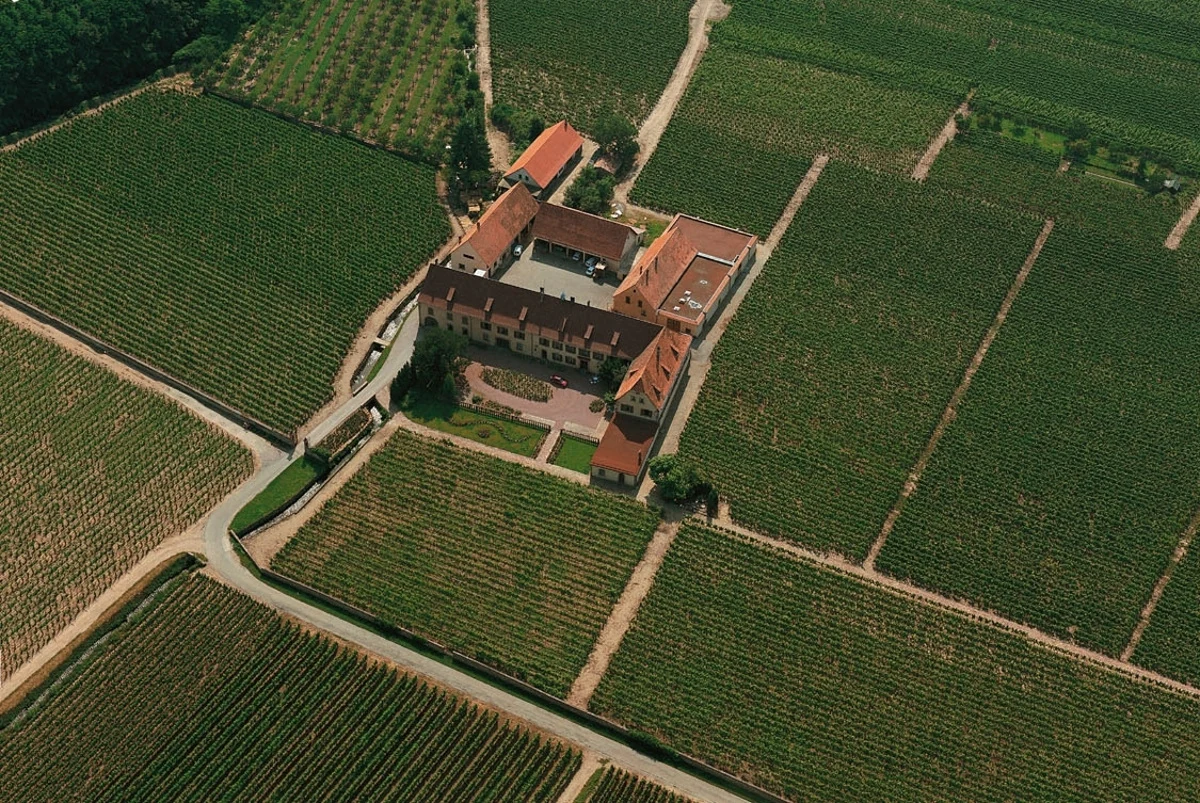 Letecký pohled na Domaine Weinbach obklopené vinicemi Clos des Capucins.