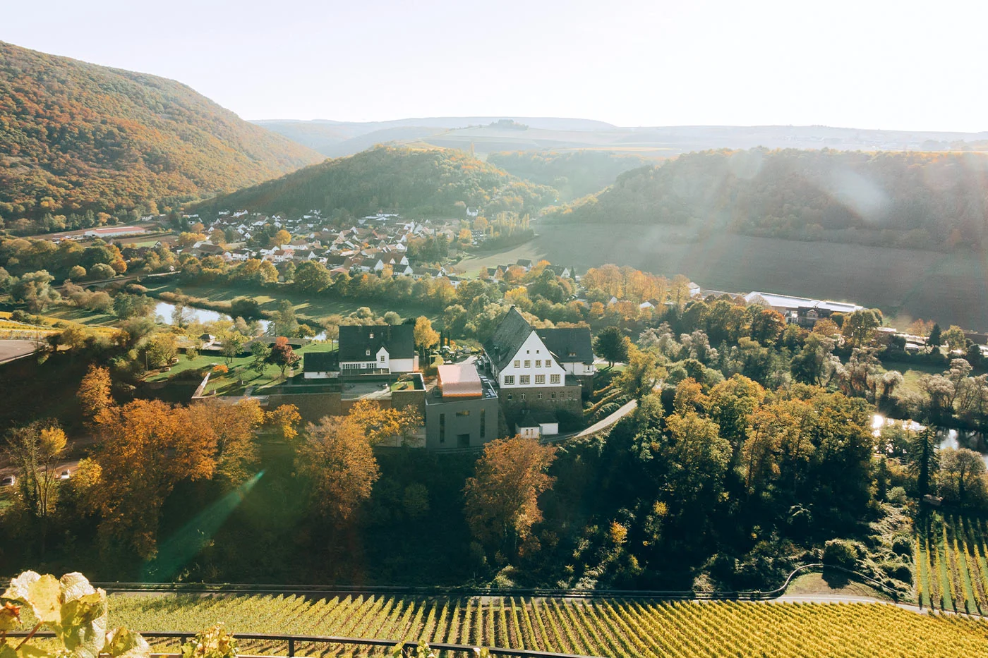 Pohled z vinice Kupfergrube na usedlost Gut Hermannsberg v údolí Nahe.