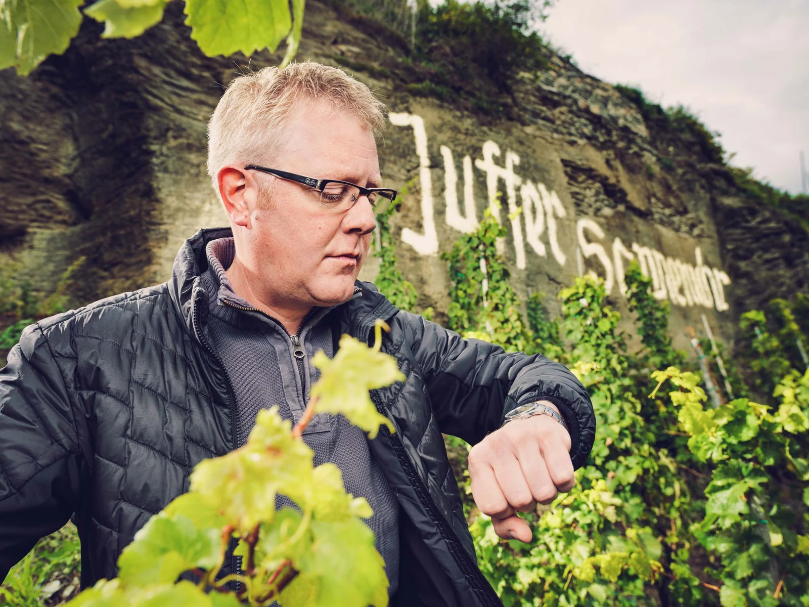 Vinař z Weingut Fritz Haag při kontrole révy ve vinici Juffer Sonnenuhr.
